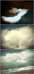 Cloud variety