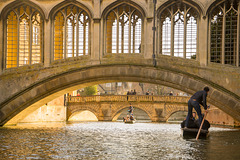 Punting the Backs - Cambridge, England