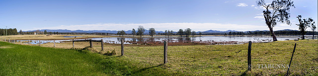 Wet panorama