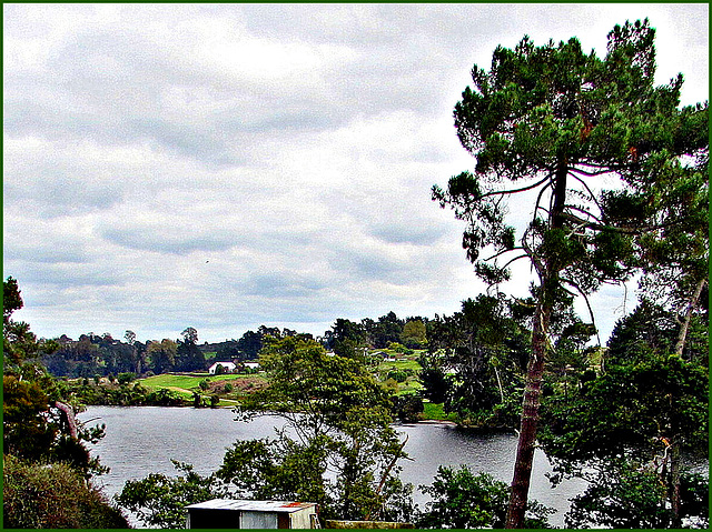Overlooking The Waikato River.