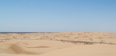 Algodones Dunes CA-78 (#0754)