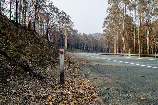 Along the highway