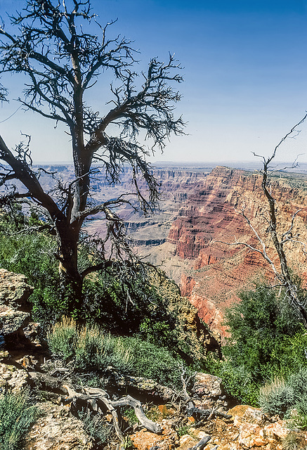 Grand Canyon - Desert View - 1986