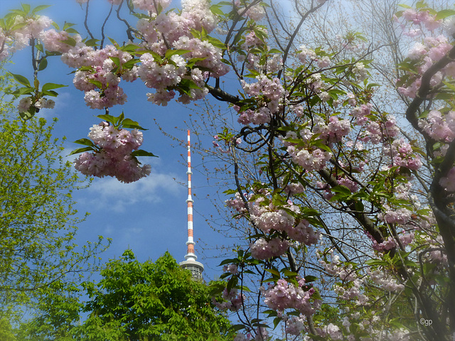 Berlin Spring