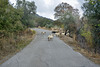 Crete 2021 – Sheep