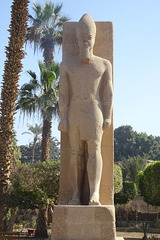 Ramasses II Statue At Memphis