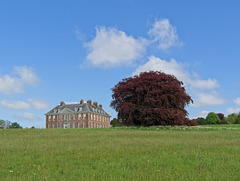 Uppark House and Copper Beech