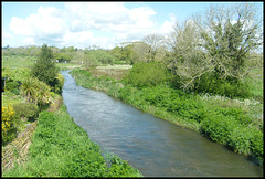 River Frome at Dorchester