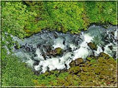 Geiranger : nel verde scorre tumultuoso il torrente Geirangelva