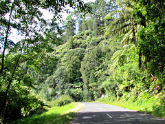 Road From Ahititi.