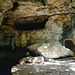 Mexico, Eastern Hall of the Cenotes of Hacienda Mucuyche
