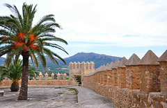 Castell d'Artà (© Buelipix)