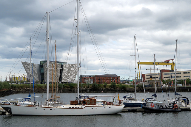 IMG 5229-001-Belfast Harbour Marina