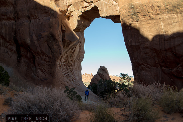 Arches National Park Pine Tree Arch (1722)