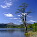 Summers day at Loch Ard