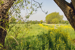 Farm on the Levels
