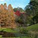 The last of autumn at the gardens