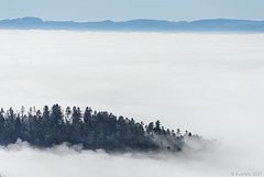 Nebel über dem Schweizer Mittelland  (© Buelipix)