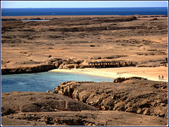 SHARM EL-SHEIK -  Ras Mohammed : una grande spiaggia libera ...ma non deserta !