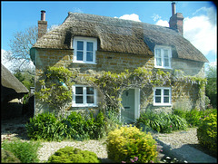 wisterious cottage in Chideock