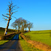 Country lane near Crombie
