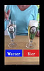 Vergleich Wasser – Bier