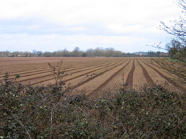 Ploughed field near Coppington Farm