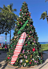 Christmas at Hawaii