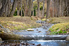 Der Bach,der seinen Weg in den See findet :))  The stream that finds its way into the lake :))  Le ruisseau qui trouve son chemin dans le lac :))