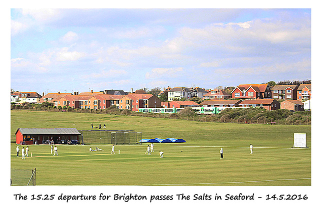 Brighton-bound 313 passes The Salts, Seaford, 14.5.2016