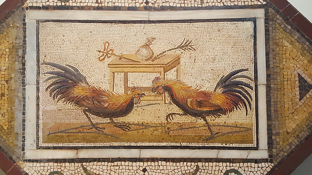 Mosaik: Hahnenkampf