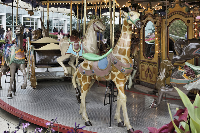 Giraffe – Navy Pier Carousel, Chicago, Illinois, United States