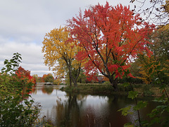 L’automne au Québec