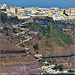 Santorini : la mulattiera che sale a Thira - sulla sinistra si vede un pilone della cabinovia alternativa alla mulattiera