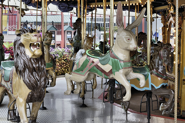 A Lion and a Hare – Navy Pier Carousel, Chicago, Illinois, United States