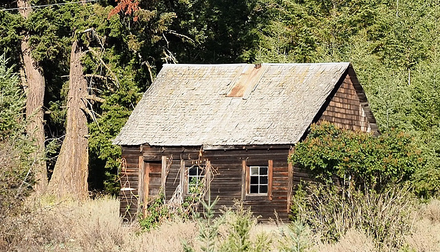 Old shack on the Cariboo Highway.