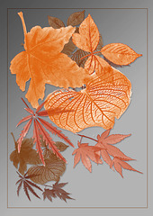 leaf brushes greetings card base