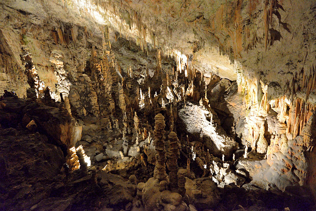 Postojna Caves
