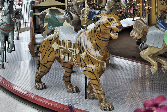 Tiger – Navy Pier Carousel, Chicago, Illinois, United States