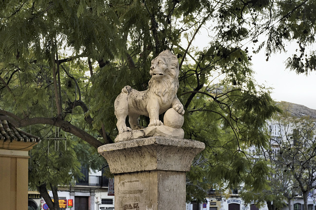 Lion Around – Plaza de la Merced, Málaga, Andalucía, Spain