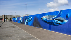Whale Murals