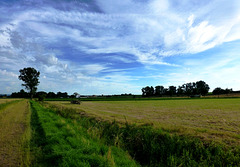 DE - Weilerswist - Landscape near Lommersum