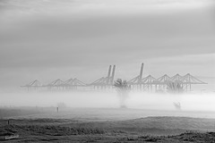 Mist at the Docks   /   Nov 2020