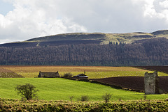 Spring fields and Corston Tower