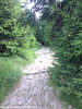 Hiking Trail, Picture 6, Snezka, Kralovehradecky kraj, Bohemia(CZ), 2015