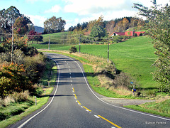 On the Road To Rotorua.