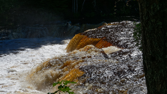 The Lower Falls of the Tahquamenon River