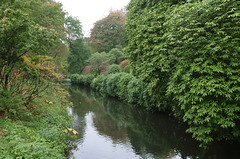 Autumn on the banks of the River Bolin