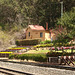 Spring Bluff Rail 2023 P9265032