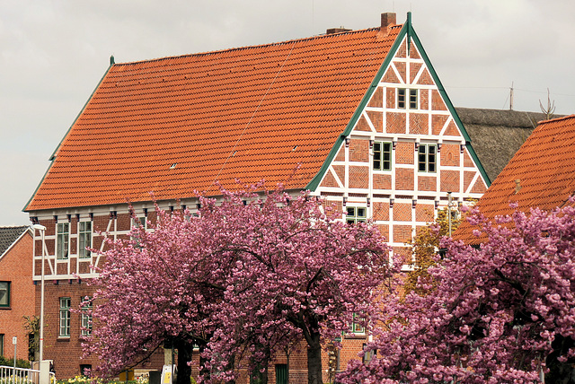 Fachwerkhaus in Borstel/ Jork (2xPiP)